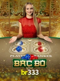 BR333.COM