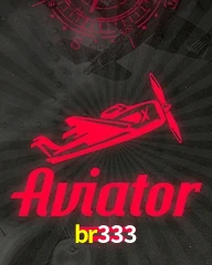 BR333.COM