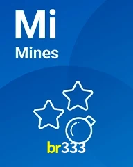 BR333.COM