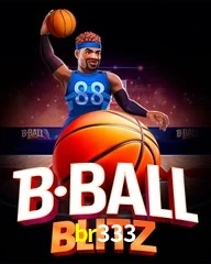 BR333.COM
