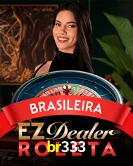 BR333.COM