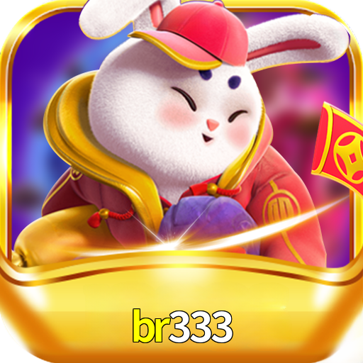 BR333.COM